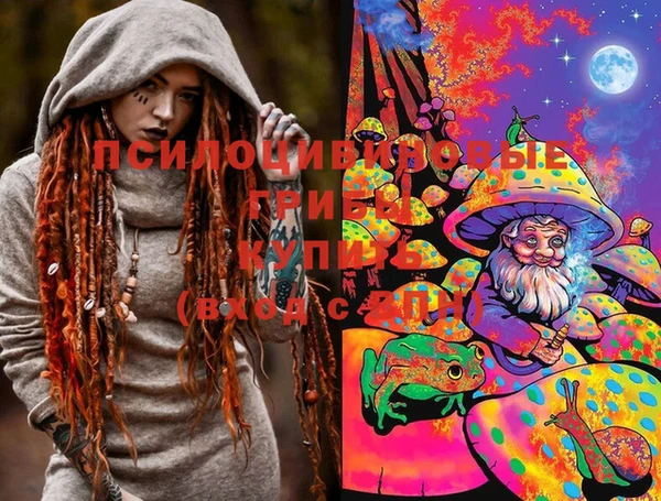 стафф Новозыбков